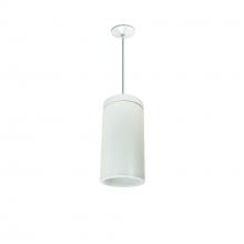 Nora NYLD2-6P10140WWW - 6" Cobalt Pendant Mount Cylinder, White, 1000L, 4000K, White Reflector, 120V Triac/ELV Dimming
