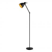 Eglo 203448A - 1 LT Floor Lamp w/ Black Finish & Black & Gold Metal Shade