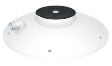 RAB Lighting IVGT5C-30L750WU/LCE2 - IVEPARK T5 CONC 25W 5K 70CRI 120-277V DIM LC EM WH 3000L