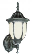 Trans Globe 4040 RT - Hamilton 1-Light Opal Glass Traditional Outdoor Wall Lantern