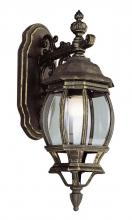 Trans Globe 4053 BG - Francisco 1-Light Outdoor Beveled Glass Coach Wall Lantern