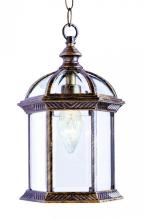 Trans Globe 4183 BG - Wentworth 1-Light Atrium Style Outdoor Hanging Pendant