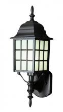 Trans Globe 4420 BG - San Gabriel 19.5" Wall Lantern