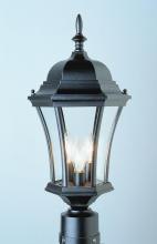 Trans Globe 4504 BK - Burlington 1-Light Metal and Glass Post Mount Lantern Head