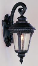 Trans Globe 5043 BG - Commons 19" Wall Lantern